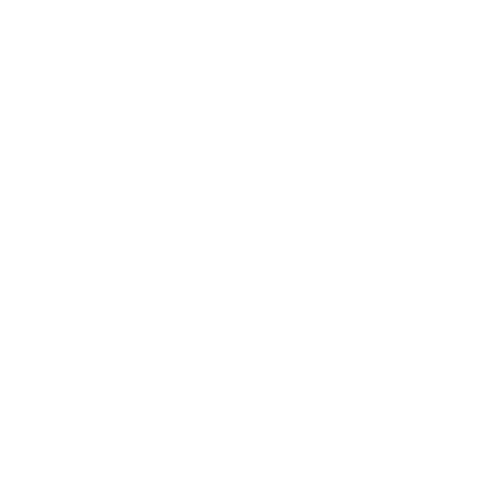 Donorflow logo